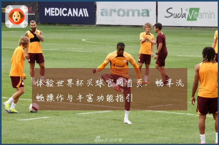 体验世界杯买球官网首页：畅享流畅操作与丰富功能指引