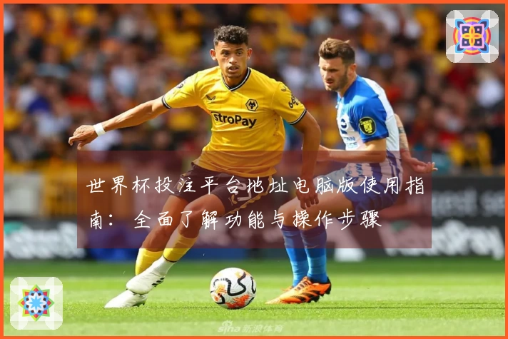 世界杯投注平台地址电脑版使用指南：全面了解功能与操作步骤