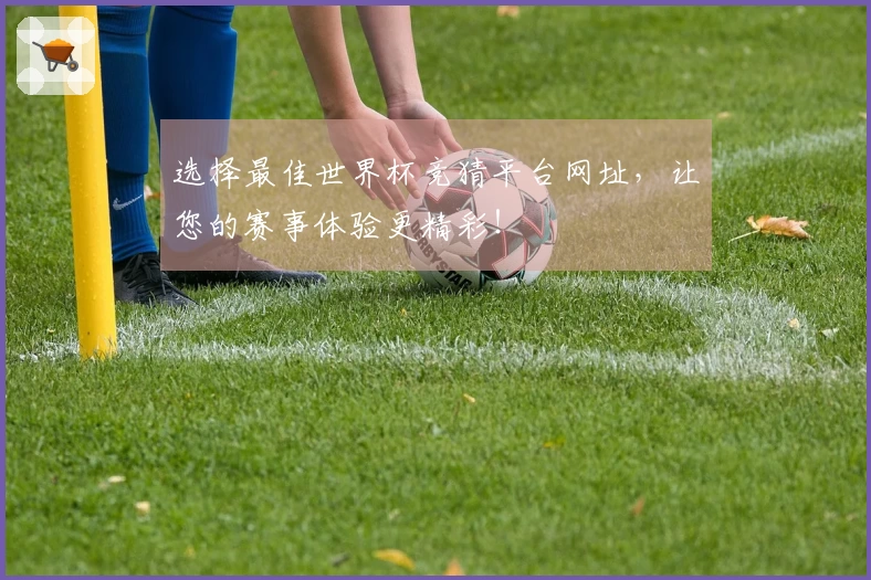 选择最佳世界杯竞猜平台网址，让您的赛事体验更精彩！